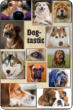 Dog-tastic notebook each picture from the cover is included in the interior pages