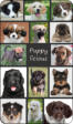 Puppy-licious notebook with live pictures made into silhouettes to write on
